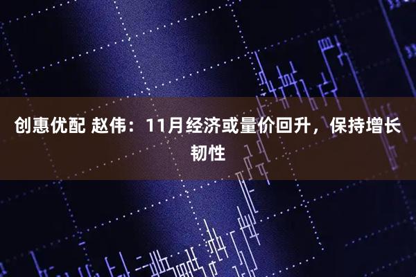 创惠优配 赵伟：11月经济或量价回升，保持增长韧性